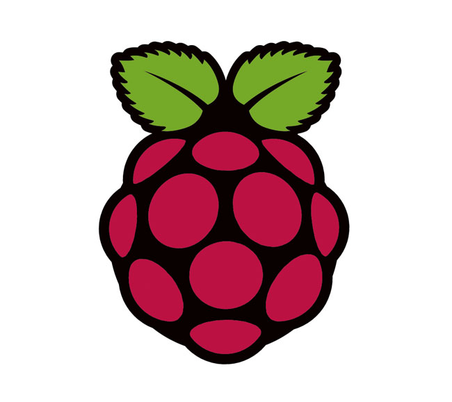 Raspberry Pi project logo